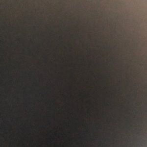 Meet your Posher, Leonardo